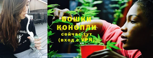 ПСИЛОЦИБИНОВЫЕ ГРИБЫ Белоозёрский