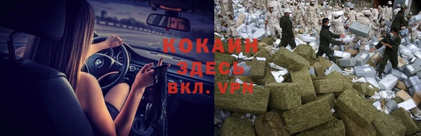 ПСИЛОЦИБИНОВЫЕ ГРИБЫ Белоозёрский