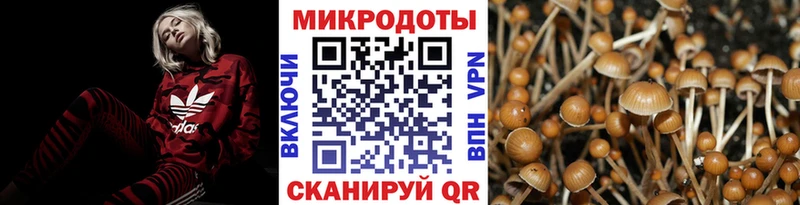 цены   Михайлов  Псилоцибиновые грибы Cubensis 